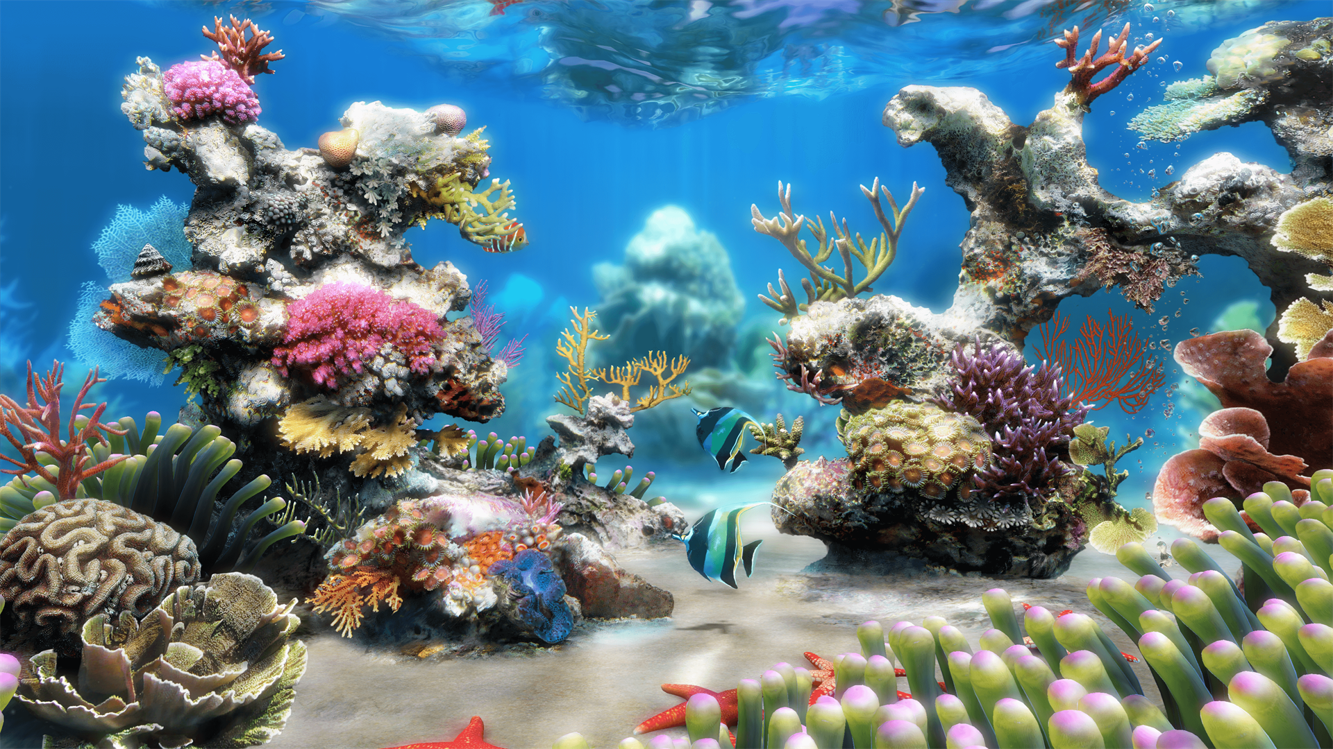 Live Aquarium 4k Screenshot