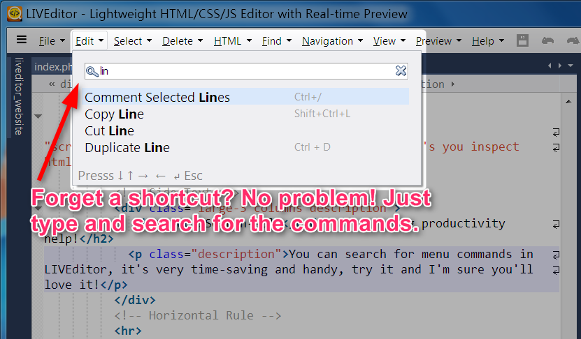 LIVEditor, Code Editor Software Screenshot