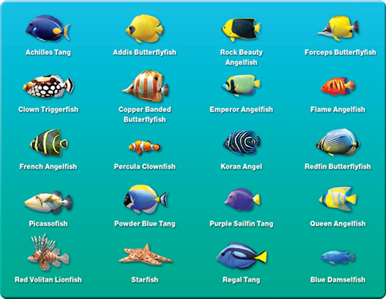 marine aquarium screensaver windows 7