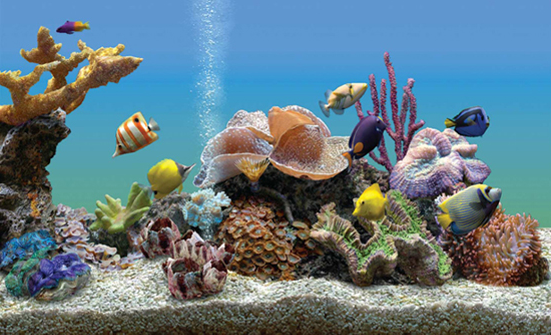 Marine Aquarium Deluxe - Screensaver Software Discount for