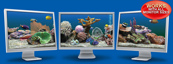 marine aquarium deluxe 3.0 screensaver free download