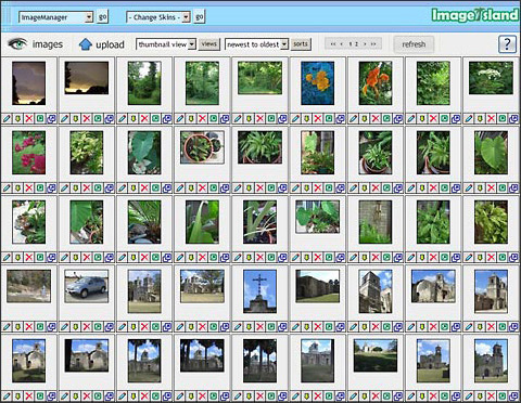 MediaIsland Professional 2.0, Web Development Software Screenshot