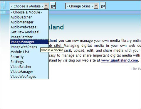 MediaIsland Professional 2.0 Screenshot