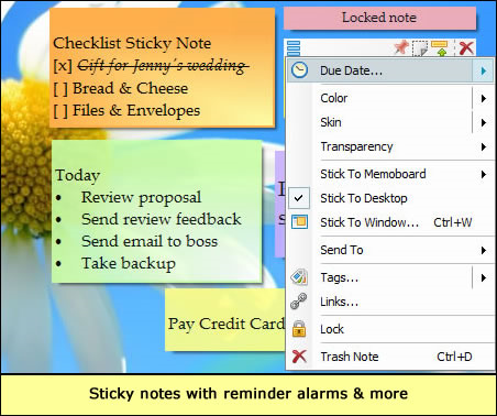 Notezilla 8, Productivity Software Screenshot