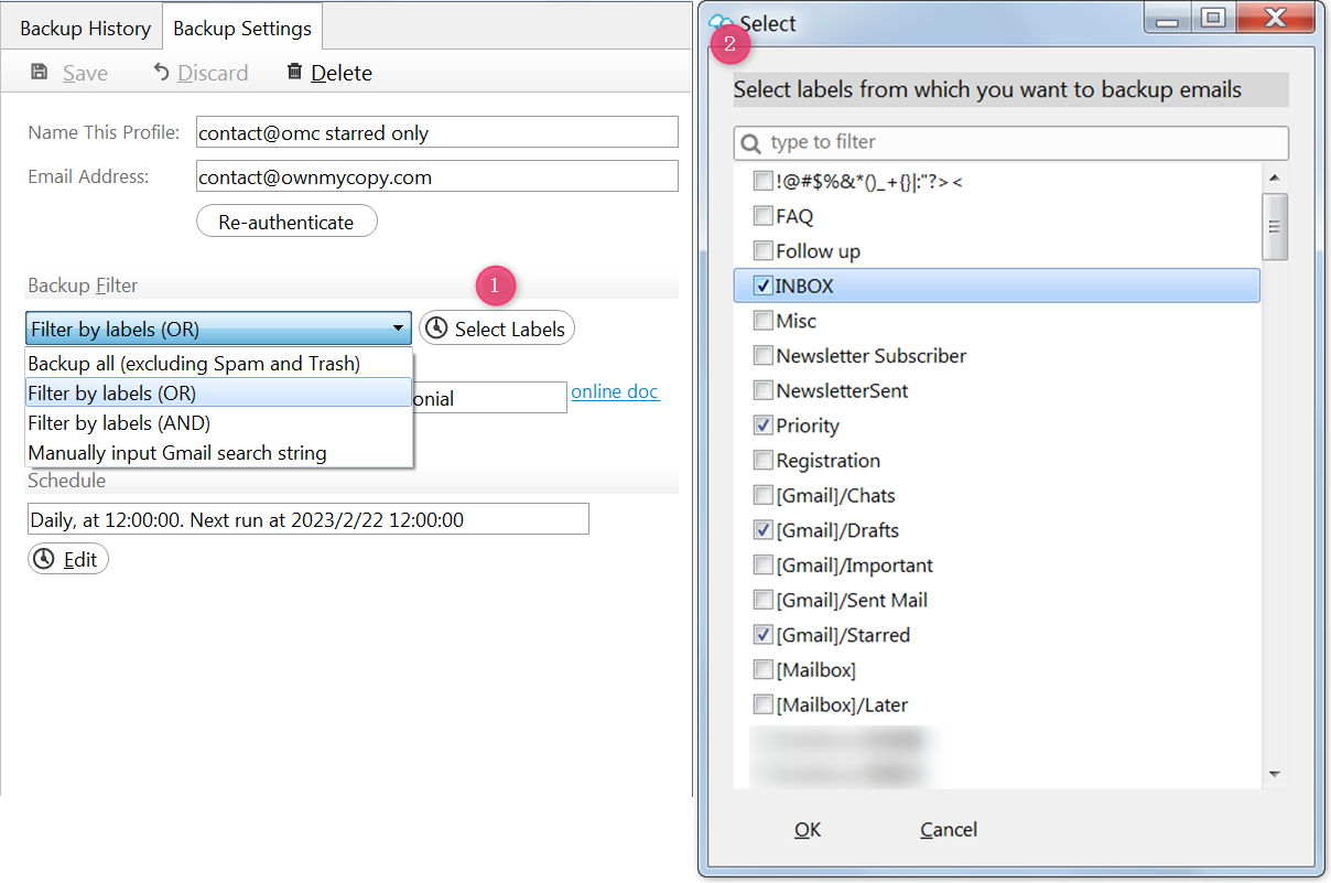 OwnMyCopy Gmail Backup, Backup Email Software Screenshot