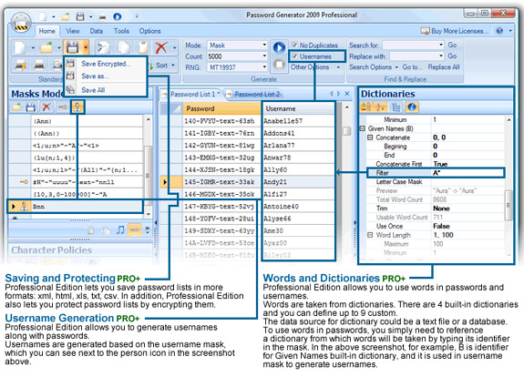 Password Manager Software, Password Generator 2009 Professional Screenshot