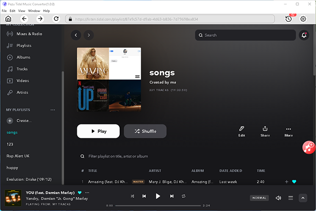 Pazu TIDAL Music Converter for Mac & Windows, Audio Software Screenshot