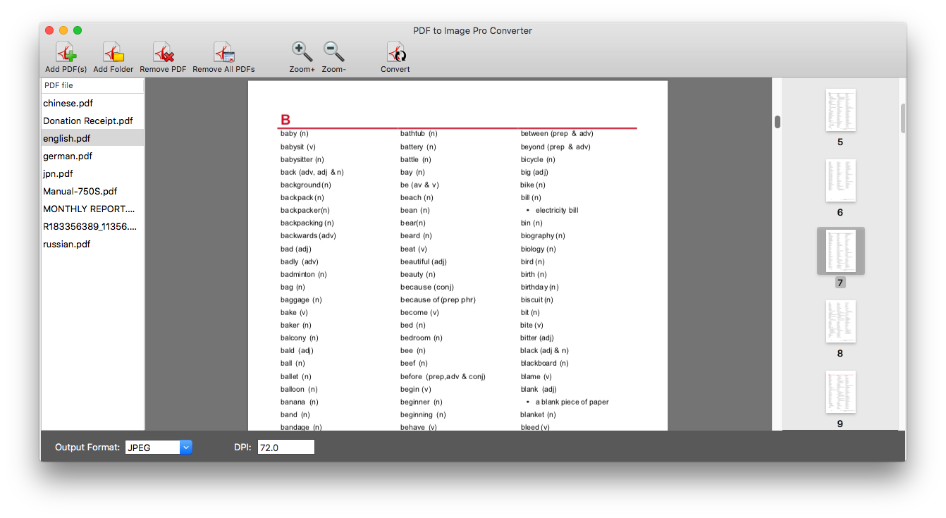 PDF to Image Batch Converter Screenshot