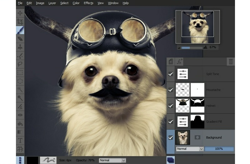 Pixeluvo, Design, Photo & Graphics Software Screenshot
