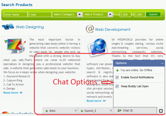 Web Development Software, Presence Bar Screenshot