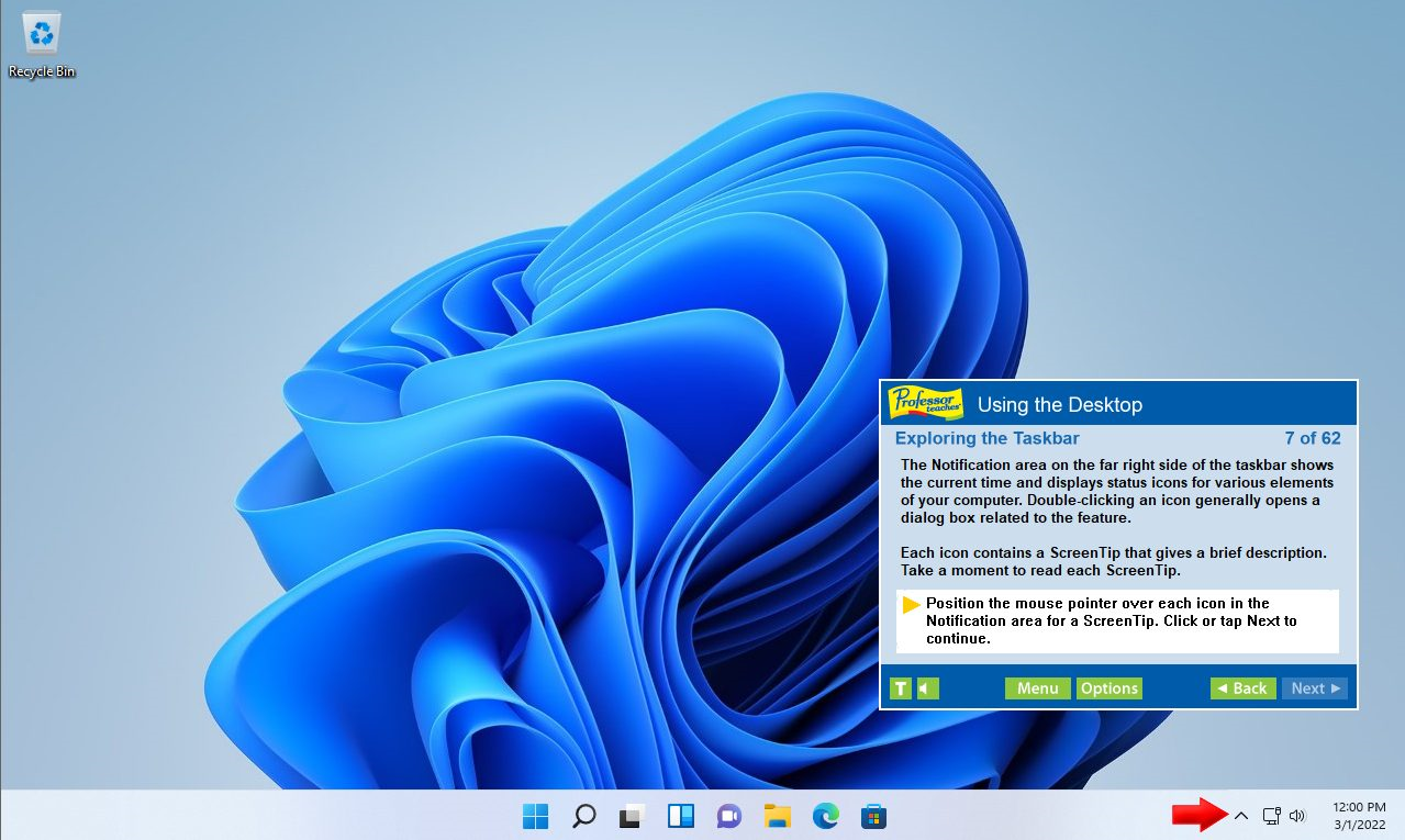 Professor Teaches Windows 11 With Skill Assessment - Tutorial Set Downloads Screenshot