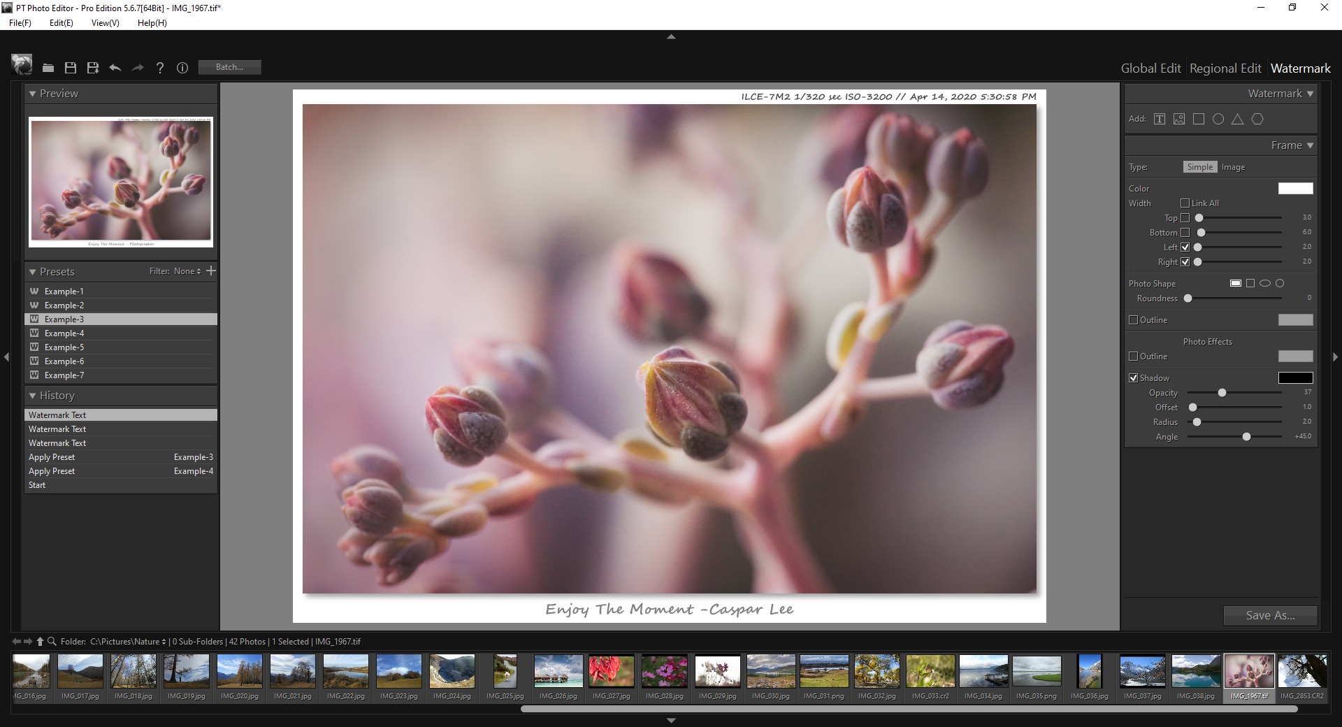 PT Photo Editor Pro 5.10.3 download the new version for windows