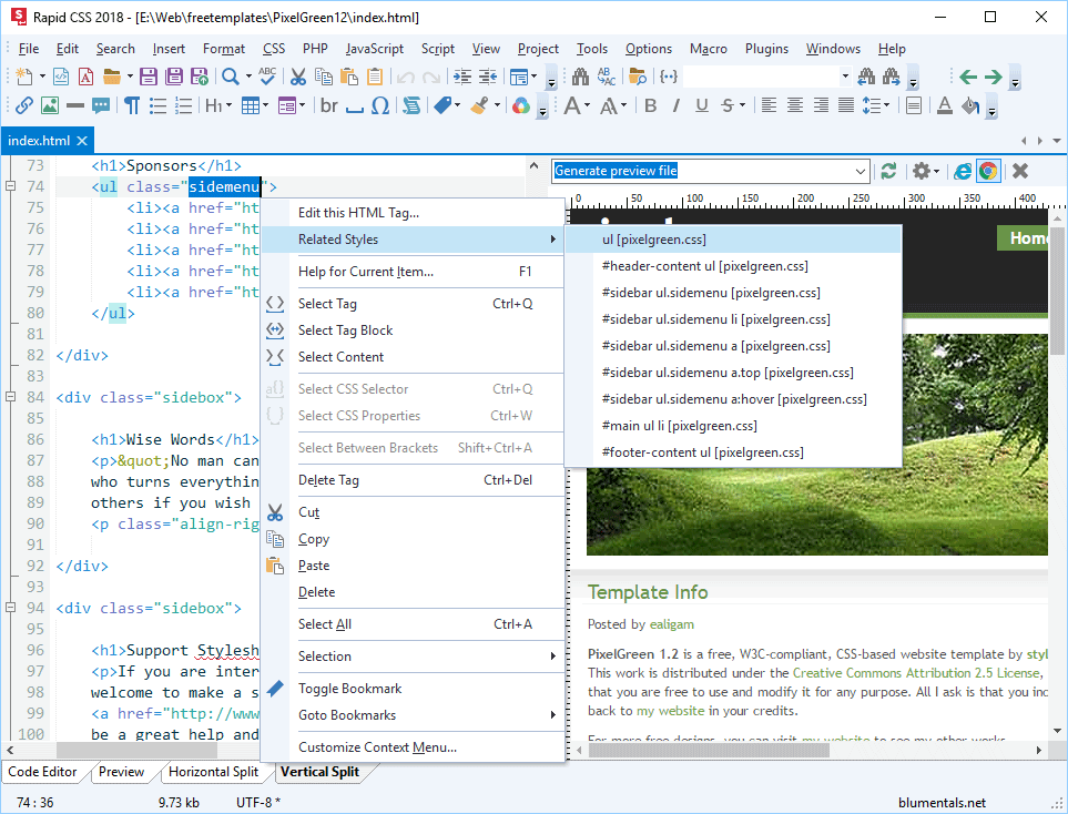 Rapid CSS 2020, Development Software Screenshot