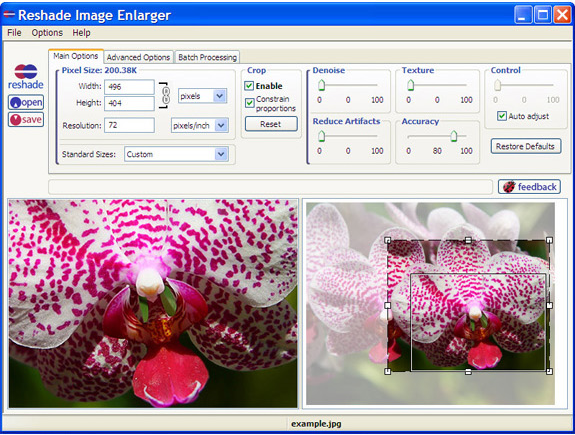 Photo Manipulation Software, Reshade Image Enlarger Screenshot