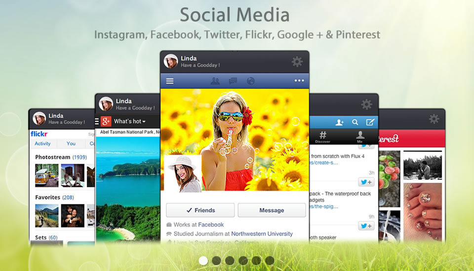 SocialFan Screenshot