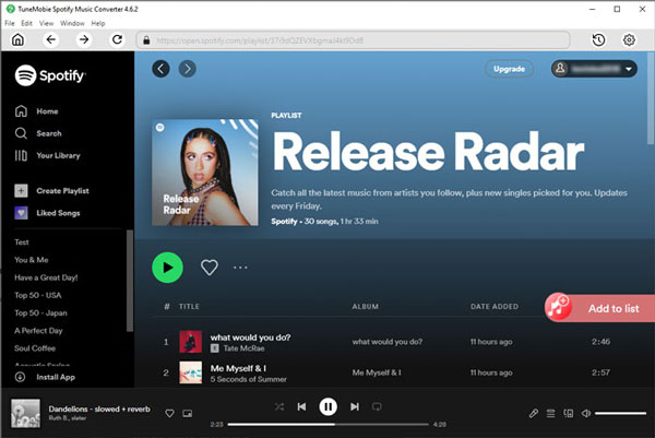 Spotify Music Converter, Audio Conversion Software Screenshot