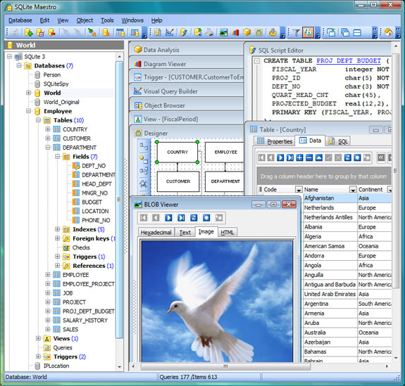 SQLite Maestro Screenshot
