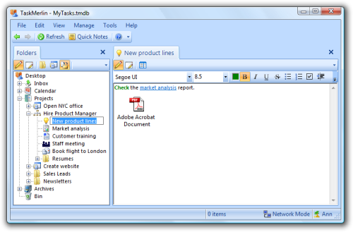 Project Management Software, TaskMerlin Professional Edition Screenshot