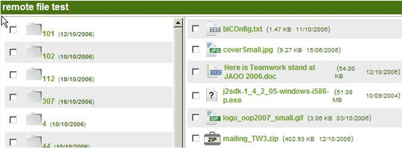 Productivity Software, Teamwork Screenshot