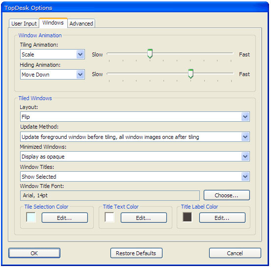Desktop Customization Software, TopDesk Screenshot