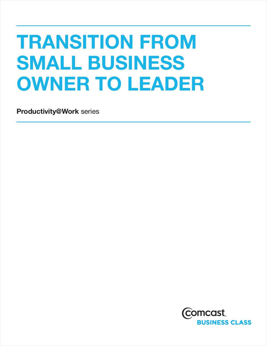 Transition From Small Business Owner To Leader (White Paper) Screenshot