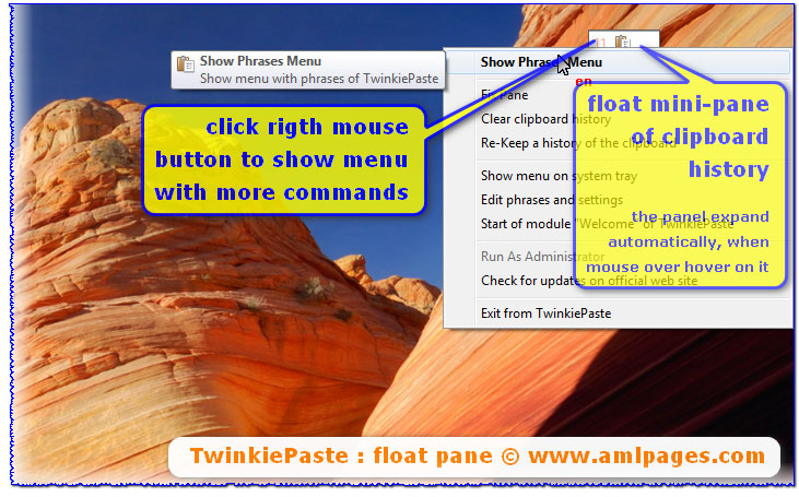 TwinkiePaste Business License, Typing Software Screenshot