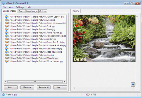 Watermark Software Screenshot