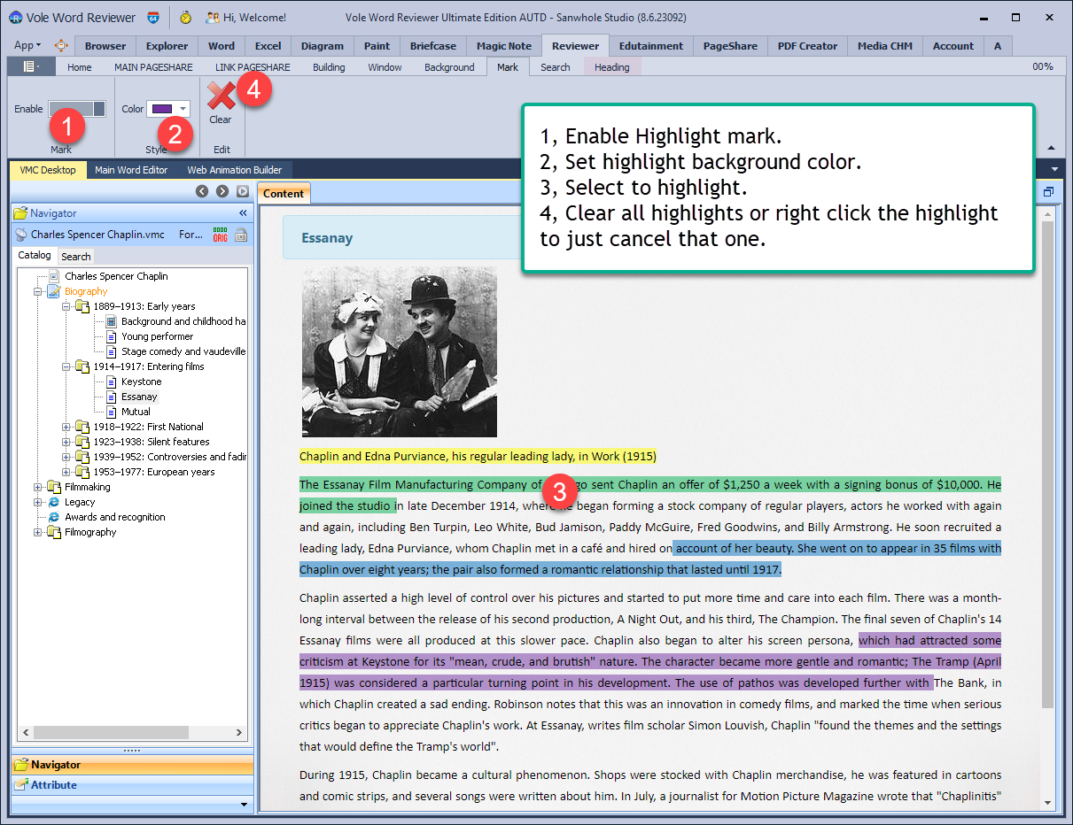 Vole Word Reviewer Professional Edition Screenshot