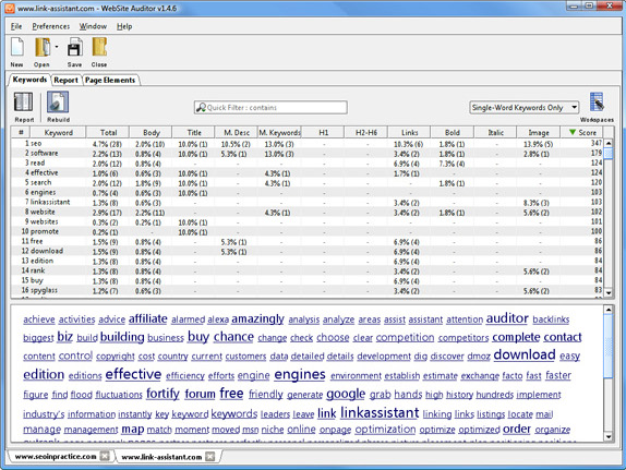 WebSite Auditor Professional, Development Software, SEO / Keyword Software Screenshot