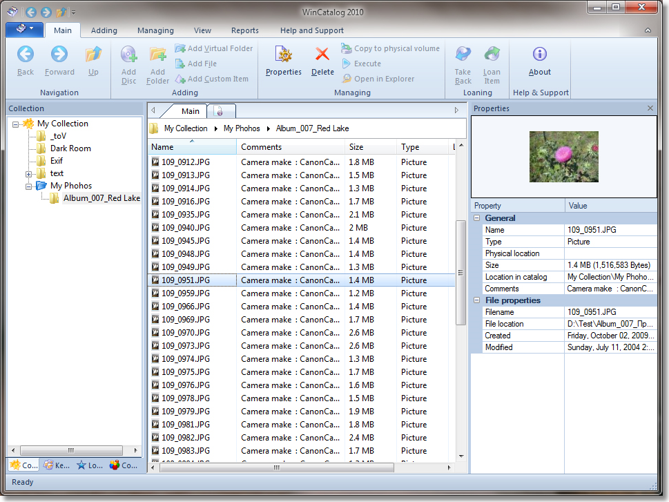 Main manager. Программа для каталогизации товаров. WINCATALOG Standard Скриншоты. Каталогизатор фото. Сортировка фото на компьютере.