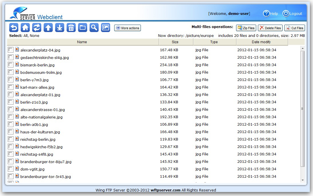Wing FTP Server Screenshot