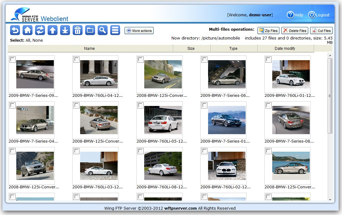 FTP Software Screenshot