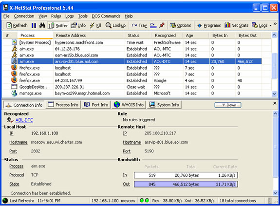 X-NetStat Professional Screenshot